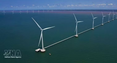 Removing bottlenecks crucial to offshore wind power development: insiders